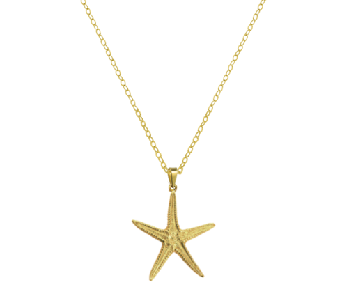 Sea Star Medium